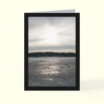 Flight Over Ice cards by MoiraAshleigh Flight Over Ice cards