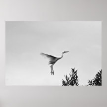 Flight Print