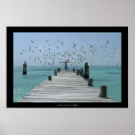 Flight posters
