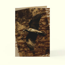 Flight Profile cards by MoiraAshleigh Flight Profile cards