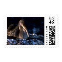 Flightless Cormorant On Nest Postage Stamp