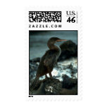 Flightless Cormorant Stamp