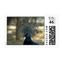 Flightless pigeon, Papua New Guinea Stamp