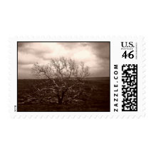Flint Hills of Kansas Postage