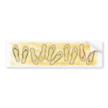Flip Flops Bumper Sticker