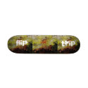 FLIP TRIP skateboards