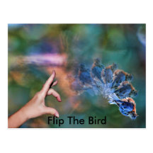 FlipTheBird, Post Cards