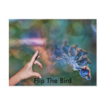 FlipTheBird, Post Cards