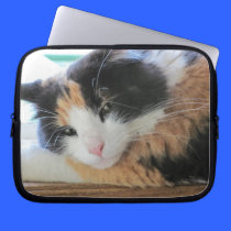 Flirtatious Calico laptop sleeves
