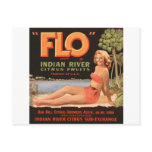"Flo" Indian River Fruit Post Card
