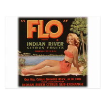 Flo Oranges Vintage Postcards