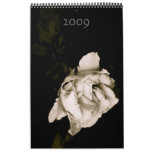 float1, 2009 calendar