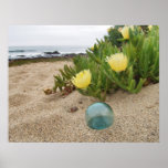 Float and Yellow Ice Plant Print