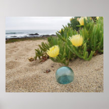 Float and Yellow Ice Plant Print