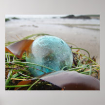 Float on Kelp Print