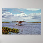 Float Plane on Lake posters