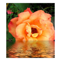 Floating Dream posters