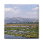 Floating Gardens on Inle Lake Magnet