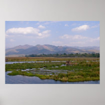 Floating Gardens on Inle Lake Poster