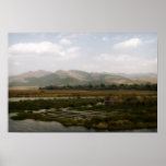Floating Gardens posters
