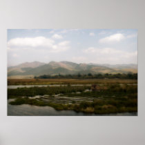 Floating Gardens Posters