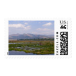 Floating Gardens • Stamp