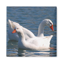 Floating Geese Magnet by nedell Floating Geese Magnet