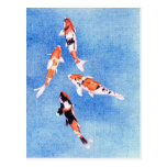 Floating Koi blue Postcard