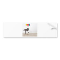 Floating Labrador Bumper Sticker