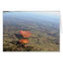 Floating Leaves cards