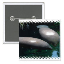 Floating Manatees  Pin