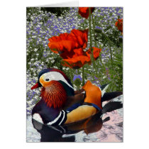 Floating Mandarin Cards