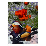 Floating Mandarin cards