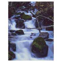 Floating Mist On The Rocks Flyer Design