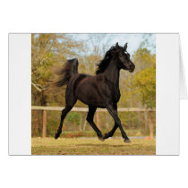 Floating on air greeting card