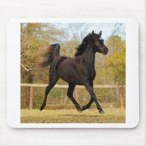 Floating on air mouse pad