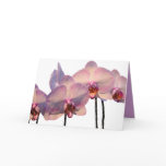 Floating Orchids Invitation Cards