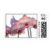 Floating Orchids Stamp
