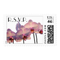 Floating Orchids - RSVP Postage