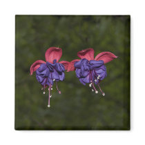 Floating Ribbons magnets