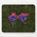 Floating Ribbons mousepads