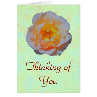 Floating Rose card card