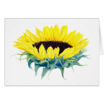 Floating Sunflower cards