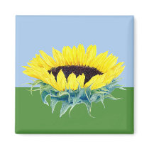 Floating Sunflower magnets