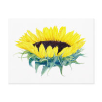 Floating Sunflower postcards