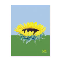Floating Sunflower postcards
