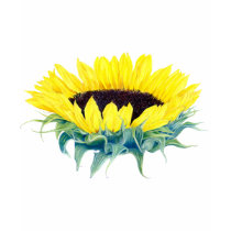 Floating Sunflower t-shirts
