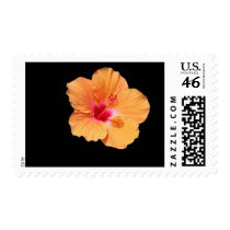 FLOATING TANGERINE HIBISCUS postage by Karedesign4 FLOATING TANGERINE HIBISCUS postage