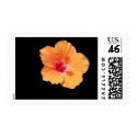 FLOATING TANGERINE HIBISCUS postage