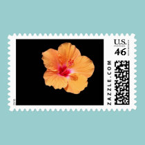 FLOATING TANGERINE HIBISCUS postage by Karedesign4 FLOATING TANGERINE HIBISCUS postage